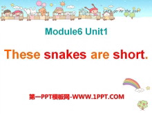 These snakes are shortPPTμ5