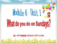 What do you do on Sundays?PPTμ3