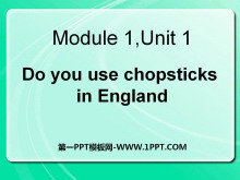 Do you use chopsticks in EnglandPPTn2