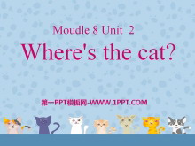 Where's the cat?PPTμ2
