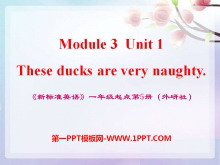 These ducks are very naughty!PPTn3