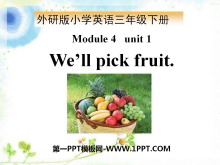 We'll pick fruitPPTn3