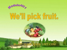 We'll pick fruitPPTμ4