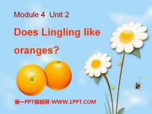 Does Lingling like oranges?PPTμ4
