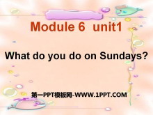 What do you do on Sundays?PPTμ5