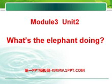 What's the elephant doing?PPTn2