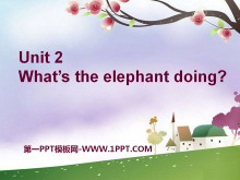 What's the elephant doing?PPTn3