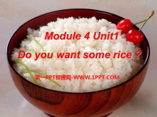 Do you want some rice?PPTn4