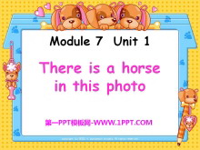 There is a horse in this photoPPTμ2