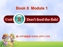 Don't feed the fishPPTμ4