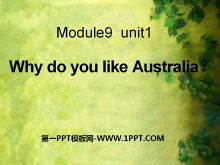 Why do you like Australia?PPTμ