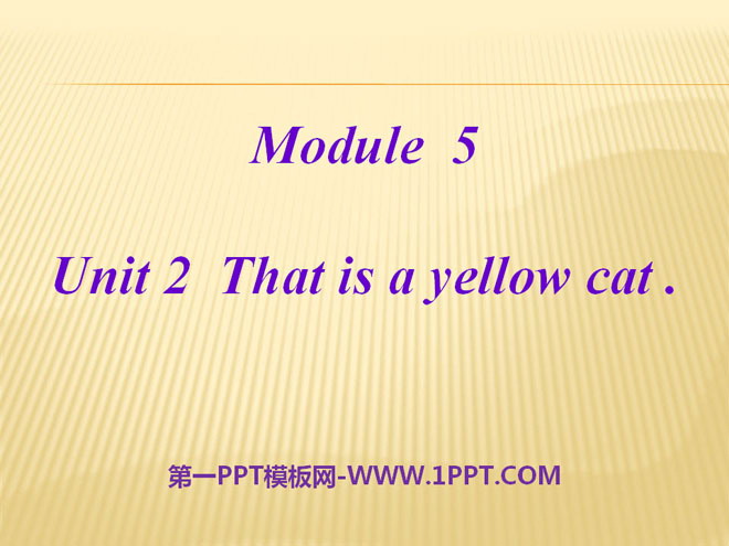 This is a yellow catPPTμ3