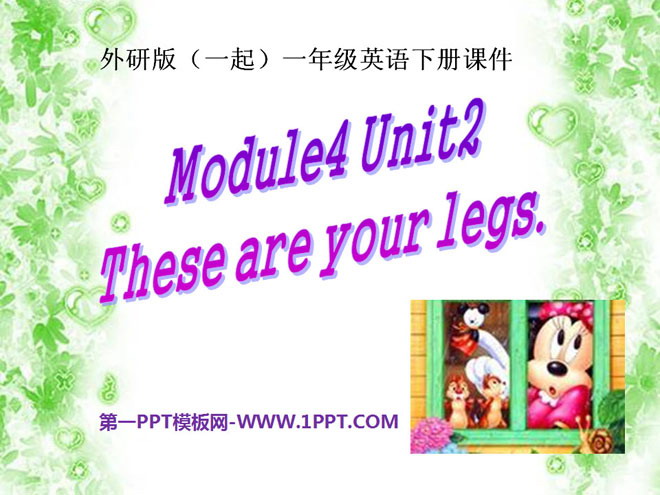 These are your legsPPTμ
