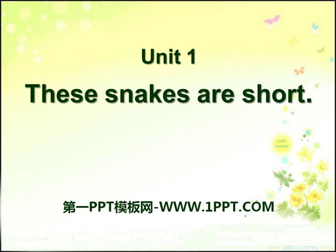 These snakes are shortPPTμ2