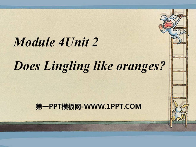 《Does Lingling like oranges?》PPT课件-预览图01