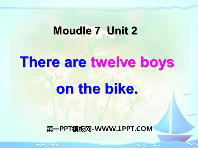 There are twelve boys on the bikePPTn4