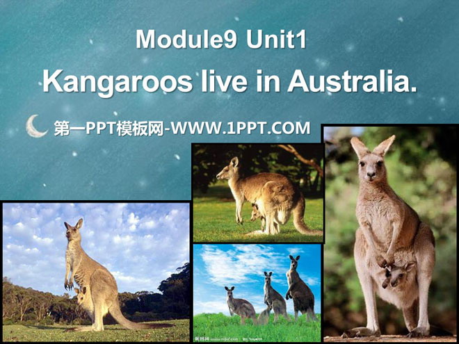 Kangaroos live in AustraliaPPTμ