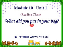What did you put in your bag?PPTμ2