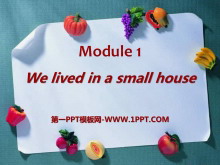 We lived in a small housePPTn3