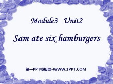 Sam ate four hamburgersPPTμ2