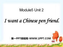 I want a Chinese pen friendPPTn2