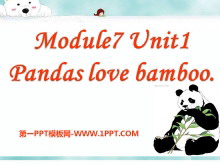 Pandas love bambooPPTn