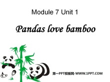 Pandas love bambooPPTn3