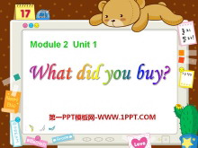 What did you buy?PPTn