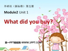 What did you buy?PPTn2