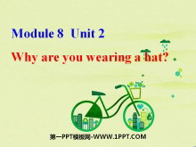 Why are you wearing a hat?PPTμ2