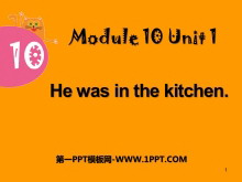 He was in the kitchenPPTn