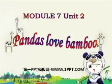 Pandas love bambooPPTn5