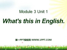 What's this in EnglishPPTμ