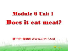 Does it eat meat?PPTμ5