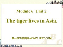 The tiger lives in AsiaPPTn3