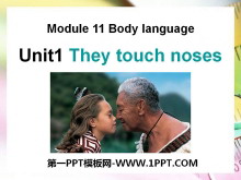 They touch nosesBody language PPTμ