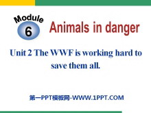 The WWF is working hard to save them allAnimals in danger PPTn