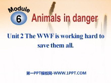 The WWF is working hard to save them allAnimals in danger PPTn3