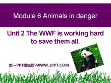 The WWF is working hard to save them allAnimals in danger PPTn4