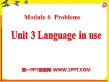 Language in useProblems PPTn