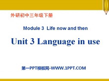 Language in useLife now and then PPTn3