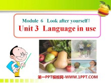 Language in useLook after yourself PPTn2