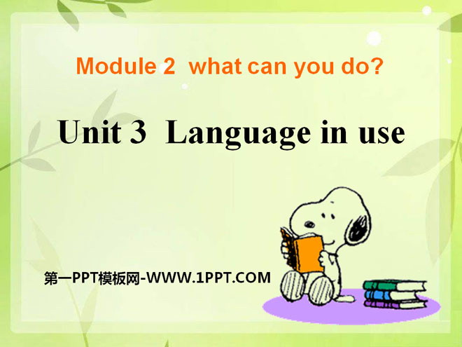 Language in useWhat can you do PPTμ2