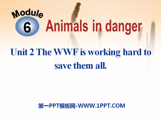 《The WWF is working hard to save them all》Animals in danger PPT课件3-预览图01