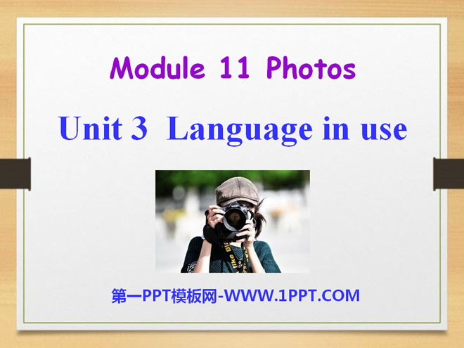 Language in usePhotos PPTμ3