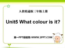 What colour is it?PPTn6