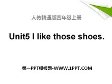 I like those shoesPPTn2