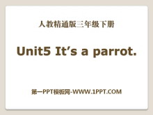 It's a parrotPPTn4