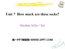 How much are these socks?PPTμ13