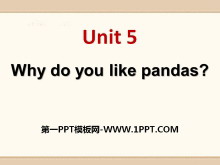 Why do you like pandas?PPTn9